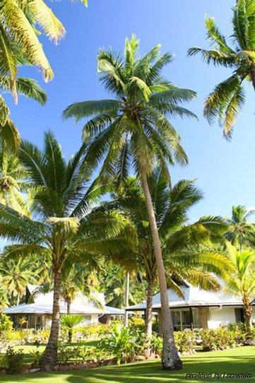Naigani Island Resort Exterior photo